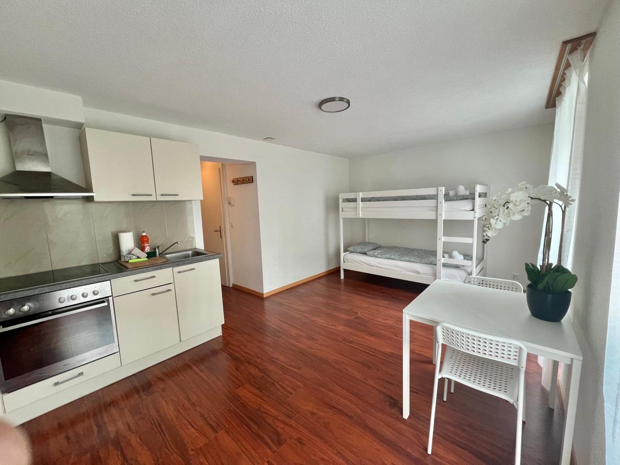 Nimbuzzz Apartments Unterseen 部屋 写真